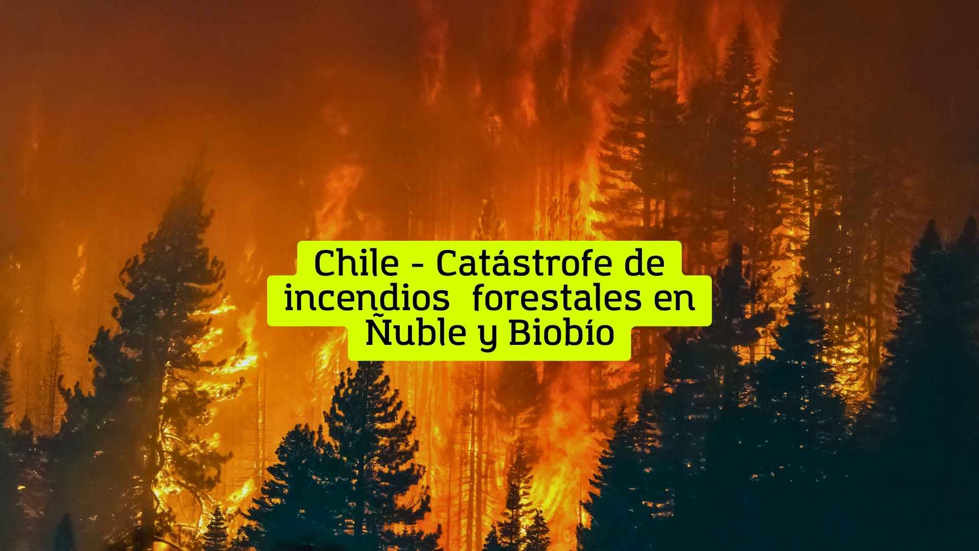Chile - Catástrofe de incendios forestales en Ñuble y Biobío